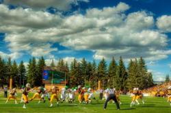 开云体育官网首页-足球赛场上的风起云涌，胜败有时皆由命定！，足球气势