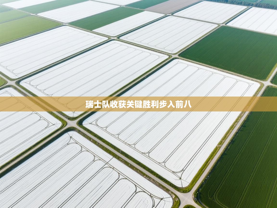 瑞士队收获关键胜利步入前八